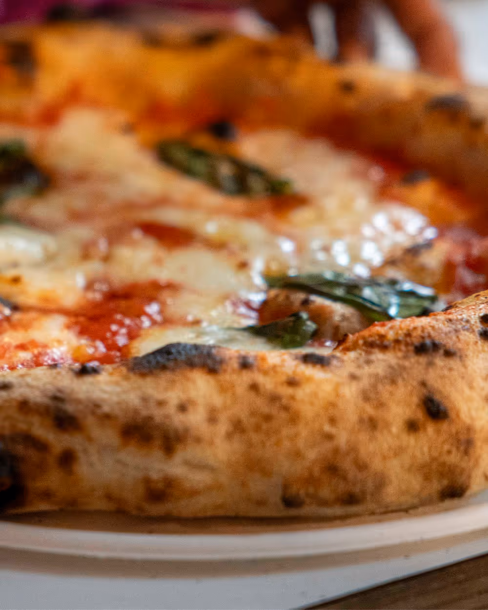 Close-up of a Margherita pizza with melted cheese, tomato sauce, basil, and charred crust edges.